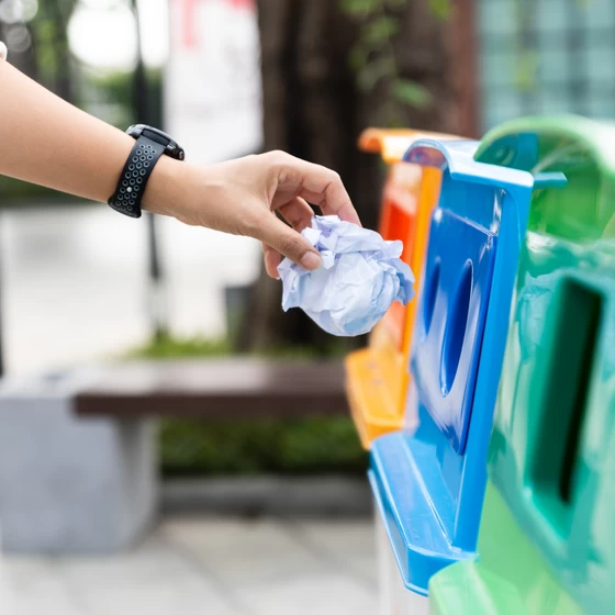 recyclage (divers poubelles)