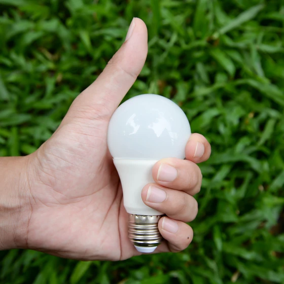 Une personne tient une ampoule Led dans la main.