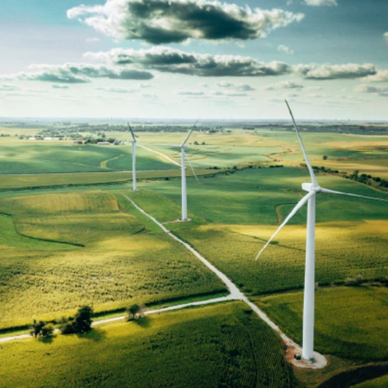 éoliennes dans des champs