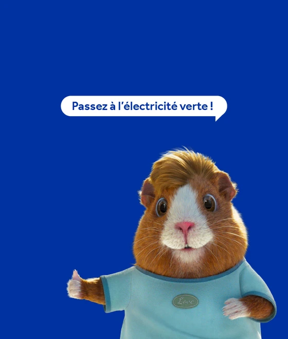 mascotte gaz de bordeaux